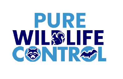 Pure Wildlife Control